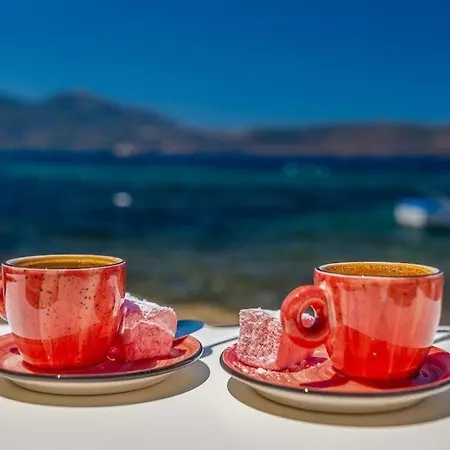 Gorgeous In Front Of The Sea At Milos Nyaraló